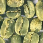 ca phe ngon nhat the gioi - pacamara